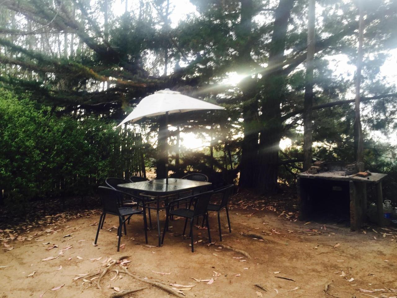 Cabanas La Magia De Isla Negra エクステリア 写真